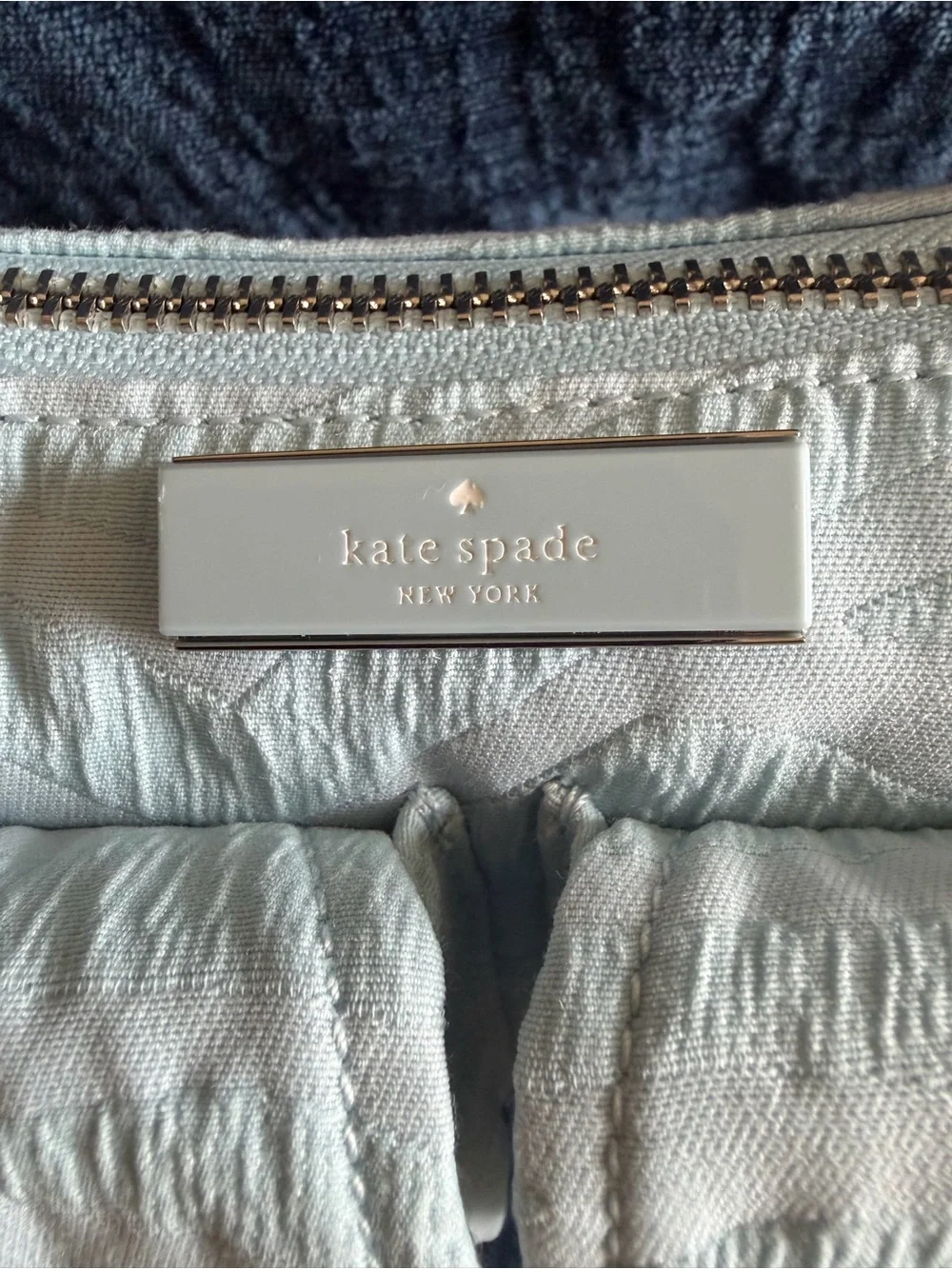 Kate Spade Carter Zebra Cargo Crossbody Bag in Blue multicolor